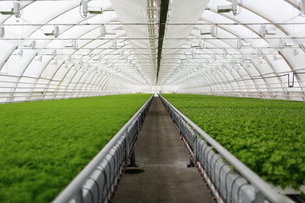 Agriculture energy management system